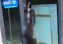 Orrore in Calabria, cane sgozzato e appeso davanti negozio