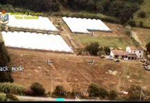 Operazione “Cannabis farm”, eseguite due nuove misure cautelari