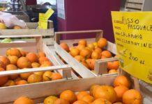 Coldiretti: gli agrumi calabresi spopolano nei mercati di Campagna Amica di Veneto, Lombardia, Piemonte ed Emilia