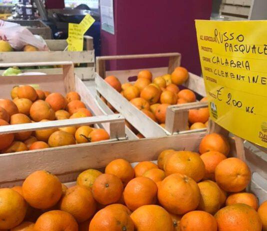 Coldiretti: gli agrumi calabresi spopolano nei mercati di Campagna Amica di Veneto, Lombardia, Piemonte ed Emilia