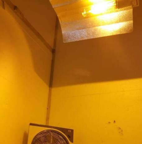 Soccorrono anziano a casa per malore ed arrestano figlio trovato con marijuana