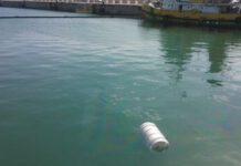 Trovato cadavere in acque porto