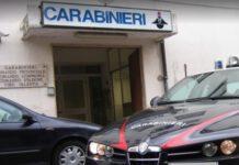 Cagnolino ucciso a colpi di pistola