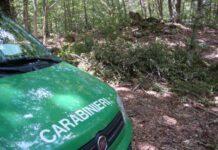 A caccia nel Parco Nazionale d’Aspromonte, tre persone denunciate