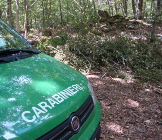 A caccia nel Parco Nazionale d’Aspromonte, tre persone denunciate