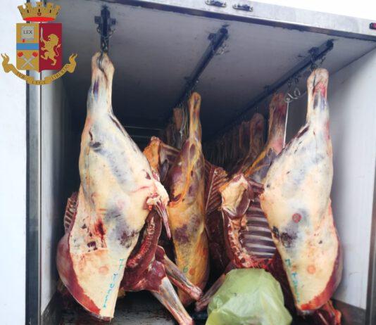 Sequestrati 29 quintali di carne equina