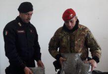 Sequestrati 5 kg marijuana, due arresti