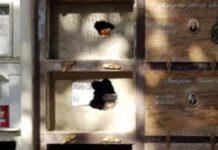 Macabra Intimidazione a consigliere, divelte tombe e bruciata bara della madre