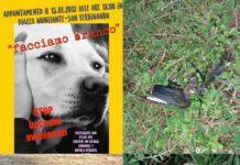 San Ferdinando avvelenati cani e volatili, domenica manifestazione per chiedere rifugio comunale