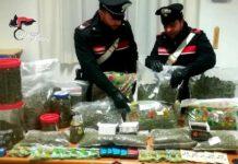 Arrestato commerciante di cannabis light, vendeva sostanza con limiti oltre la legge