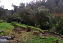 Frana a Seminara, disagi aziende agricole