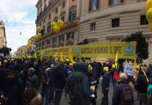 Coldiretti olio d’oliva: la manifestazione a Roma. Presentato il piano “salvaolio”