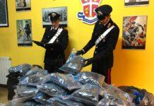 Sorpreso con 120kg di marijuana, un arresto ad Amato