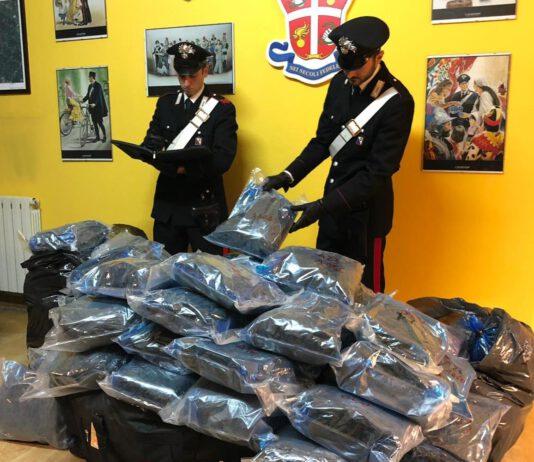 Sorpreso con 120kg di marijuana, un arresto ad Amato