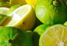 Zmedica- Bergamotto: oro verde di Calabria