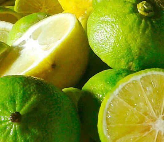 Zmedica- Bergamotto: oro verde di Calabria