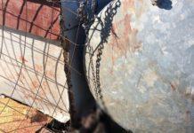 Calabria, cane soffocato da catena, denunciato 25enne