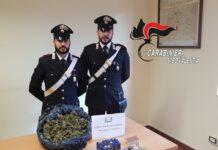 Droga pistola e munizioni trovate in casolare