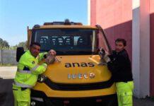 Cuccioli di cane abbandonati in strada, salvati da due cantonieri