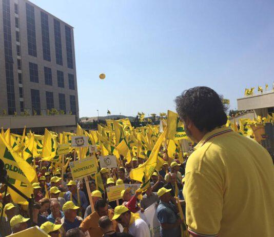 Aceto Coldiretti: la Regione deve fare i conti con i macigni che gravano sull’agricoltura calabrese. E parte la mobilitazione sui territori