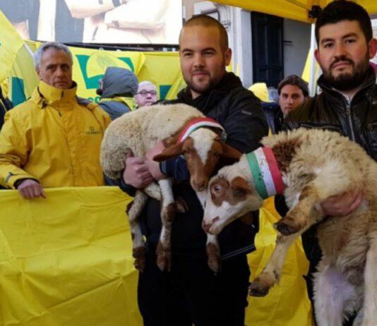 Coldiretti: Sos pastori, domani a Reggio Calabria arriva il primo Pecorino Day