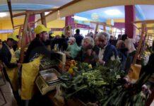 Coldiretti, Aceto: la L.r. 4/2019 su trasformazione e confezionamento dei prodotti agricoli appesantisce gli oneri per gli agricoltori