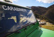 Carabinieri forestali. Due deferimenti nel reggino