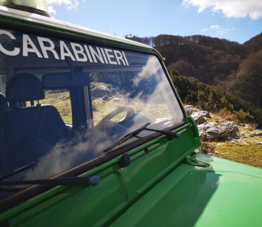 Carabinieri forestali. Due deferimenti nel reggino
