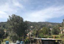 Due deferimenti da parte dei Carabinieri forestali