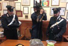 Rosarno, rinvenuta droga in abitazione disabitata