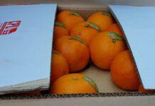 Coldiretti, Cosentini: al porto di Gioia Tauro gli agrumi arrivano anche dal Pakistan