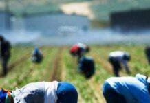 Scoperti 12 lavoratori in nero, sanzioni per 36mila euro