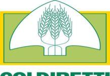 Coldiretti agrumicoltura: i conti non tornano, redditi falcidiati. Continua la mobilitazione il 6 marzo p.v. a Rosarno