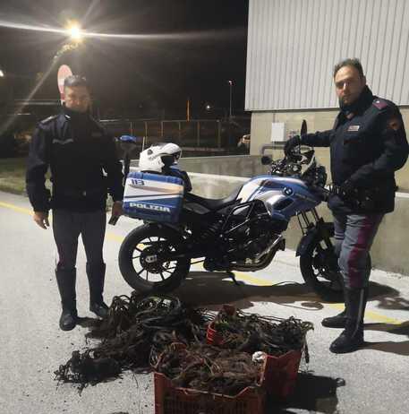 Bruciano cavi rame rubati, arrestati