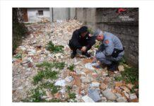 Sospetto resti umani tra rifiuti cimitero