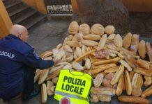 Rosarno, controlli della Polizia locale. Contrasto e lotta all’abbandono di rifiuti ed all’abusivismo commerciale