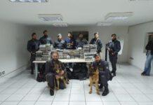 Gioia Tauro, sequestrati al Porto 450 kg di cocaina