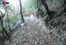 Apre pista abusiva in un bosco, denunciato