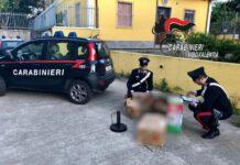 Fuochi illegali detenuti nei locali Chiesa, denunciato prete di Mileto