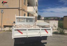 Gestione illecita di rifiuti, tre denunce