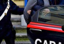 Coltivazioni intensive di cannabis in Aspromonte. Operazione dei Carabinieri