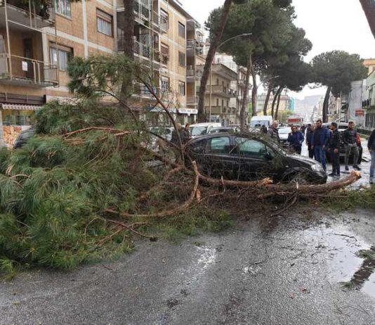 Grosso ramo si stacca da albero e cade su auto, illesa donna
