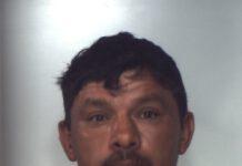 Carabinieri di Gioia Tauro arrestano latitante rumeno