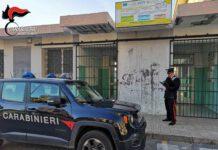 Gatto ucciso a bastonate a Gioia Tauro, carabinieri denunciano bidello