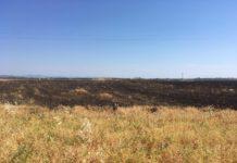 Incendio doloso in azienda agricola