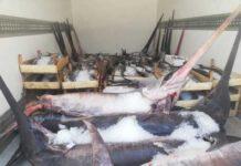 Sequestrate 2 tonnellate pescato