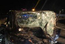 Tragico impatto frontale, due vittime