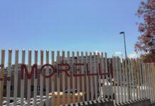 Formiche nell’ospedale di Reggio Calabria