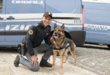 Trovato in casa con mezzo kg di marijuana, arrestato 48enne