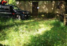 Carabinieri Taurianova, controllo del territorio- arresti a Polistena ed Anoia